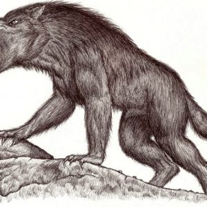 монстр оборотен