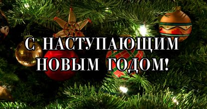 С наступающим Новым 2019 годом!