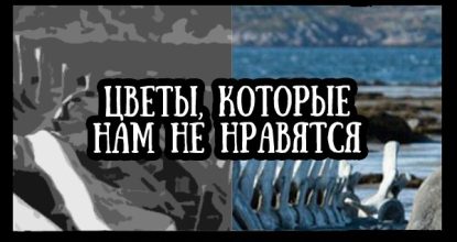 Цветы, которые нам не нравятся